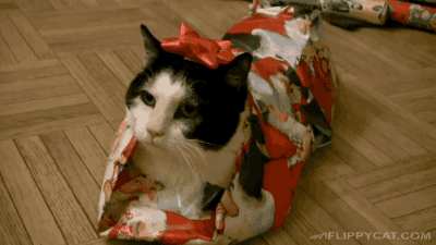 catpresent